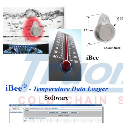 ibee-2